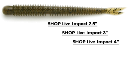 4-Inch Keitech Live Impact