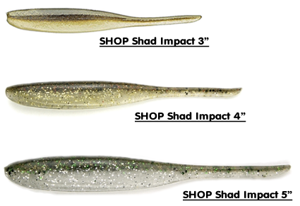 // 5 colors 12 pack Details about  / KEITECH SHAD IMPACT 2/"