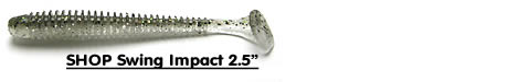 2.5-Inch Keitech Swing Impact