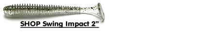 2-Inch Keitech Swing Impact